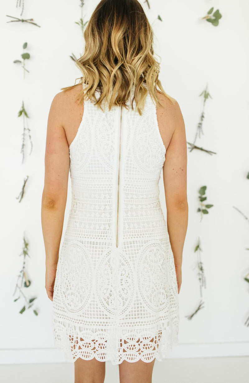 Bishop + Young Love In Crochet Dress Women's Dress White : MD